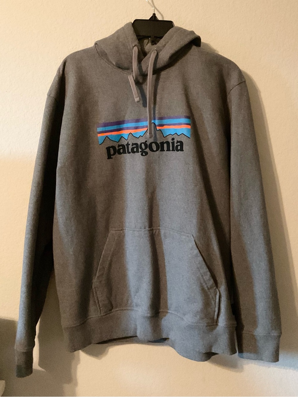 Patagonia Gray Hoodie with Multicolor Logo